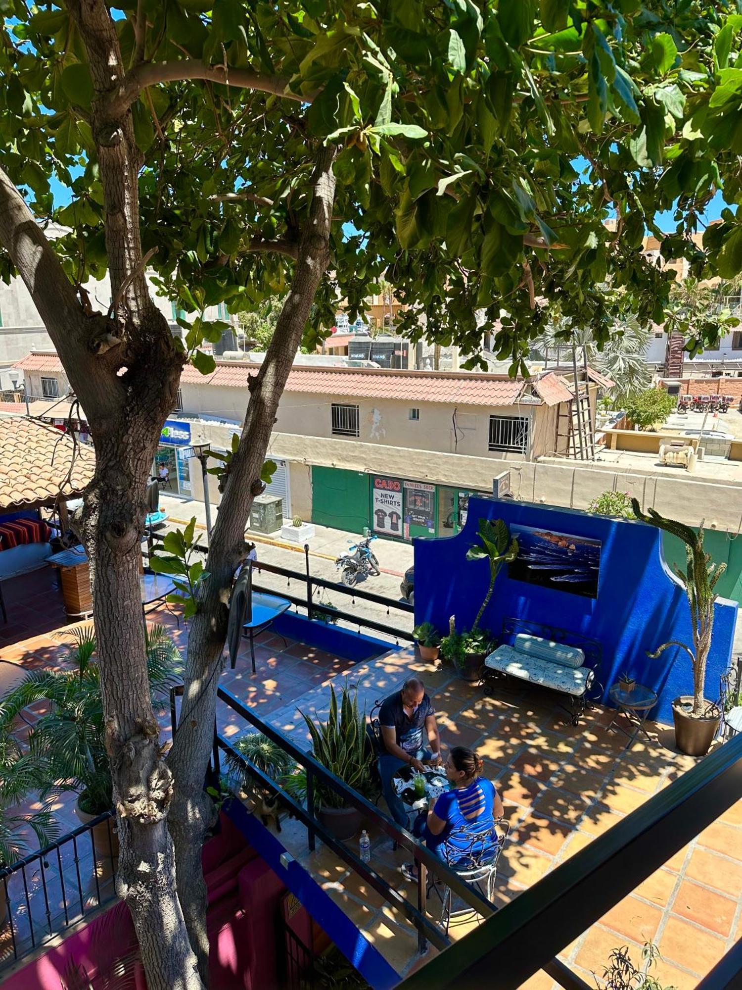 Siesta Suites Boutique Hotel Cabo San Lucas Bagian luar foto