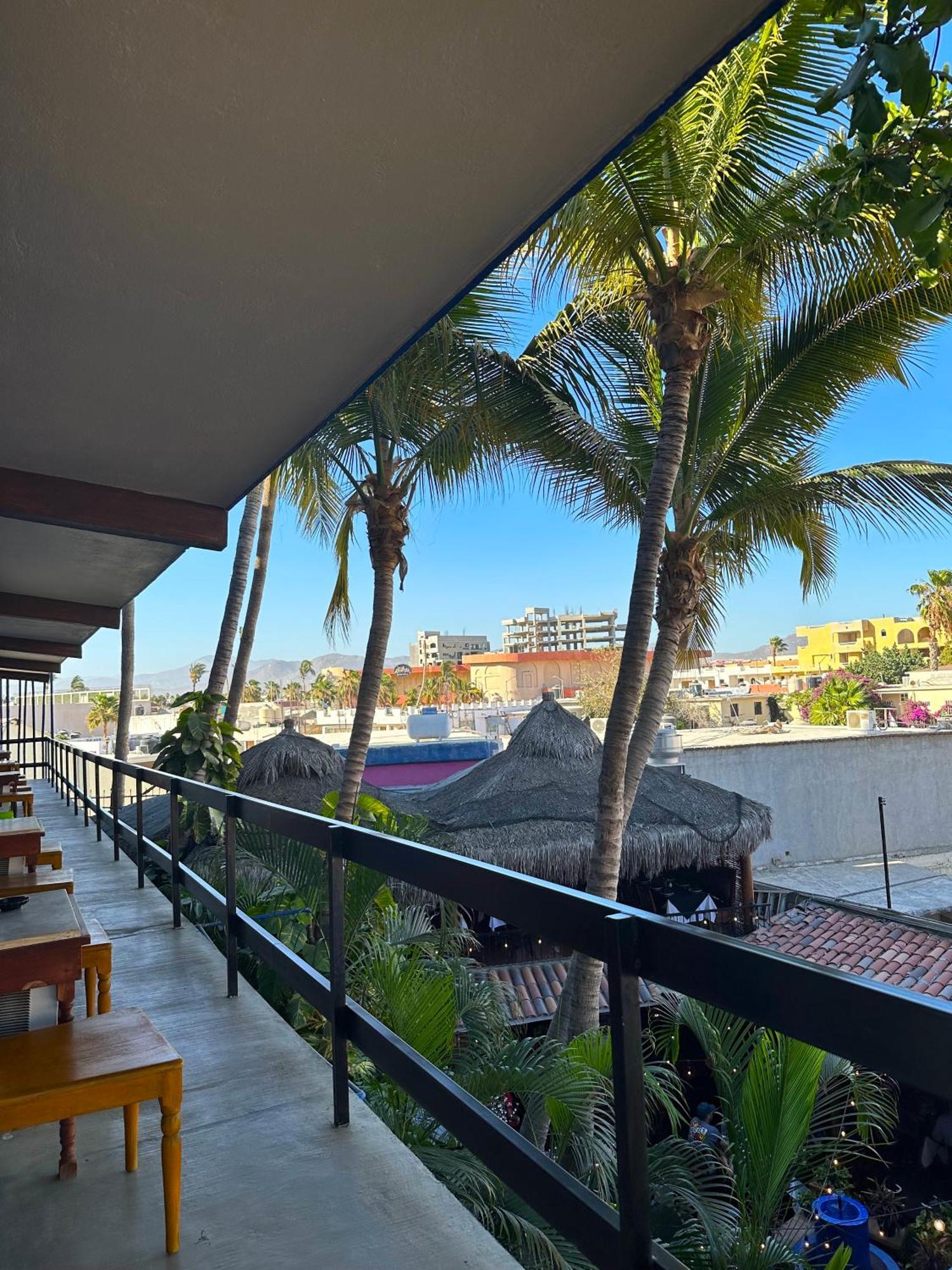 Siesta Suites Boutique Hotel Cabo San Lucas Bagian luar foto
