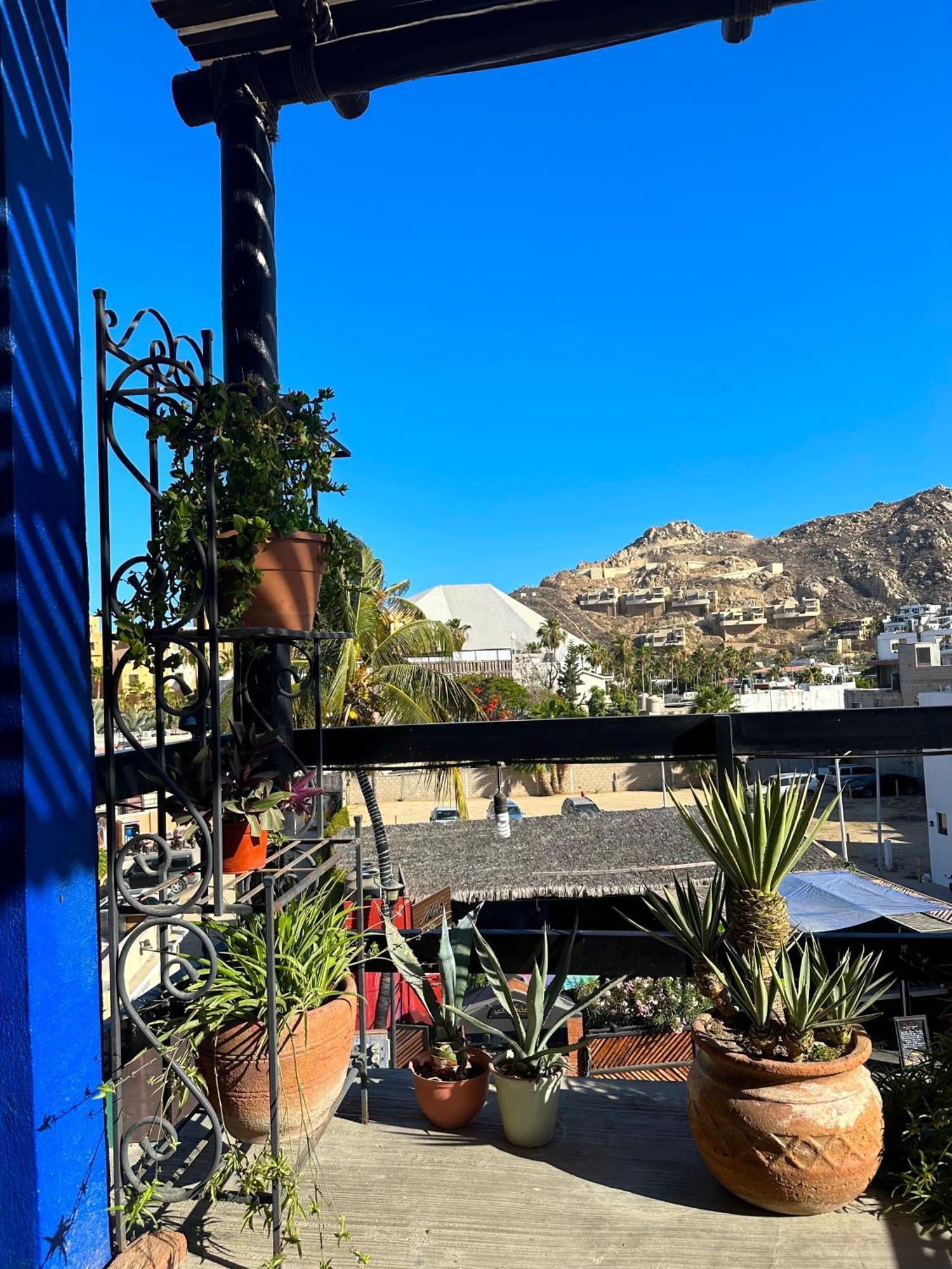 Siesta Suites Boutique Hotel Cabo San Lucas Bagian luar foto