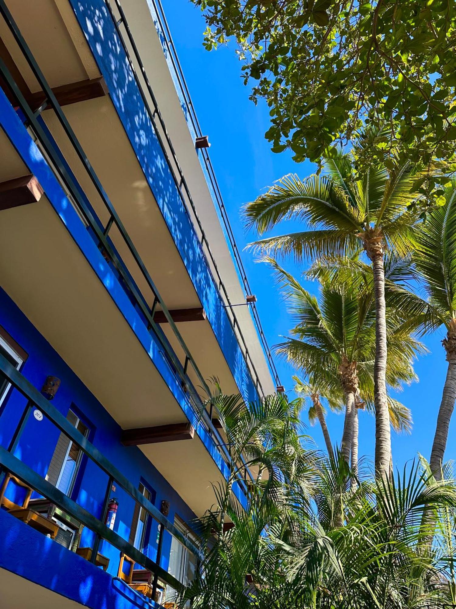 Siesta Suites Boutique Hotel Cabo San Lucas Bagian luar foto