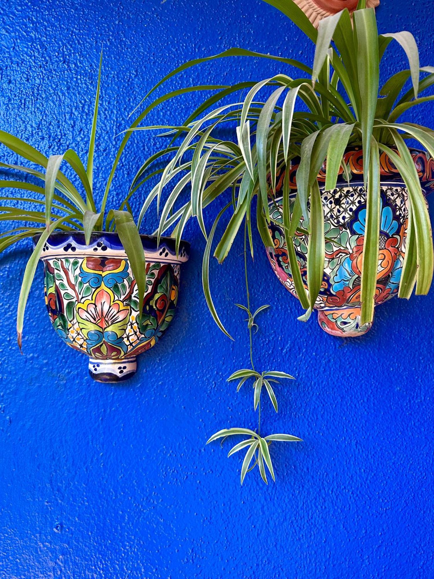 Siesta Suites Boutique Hotel Cabo San Lucas Bagian luar foto