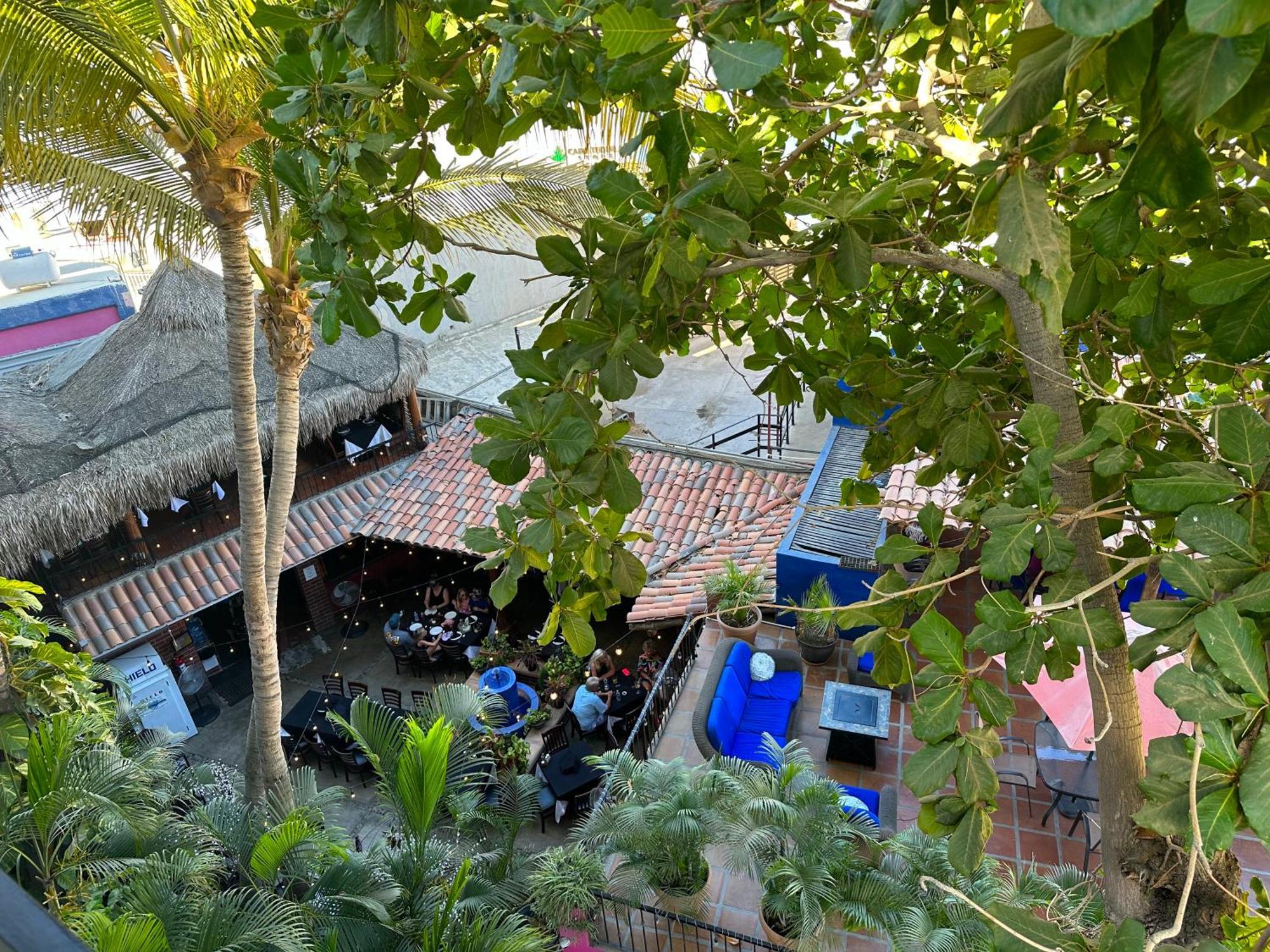 Siesta Suites Boutique Hotel Cabo San Lucas Bagian luar foto
