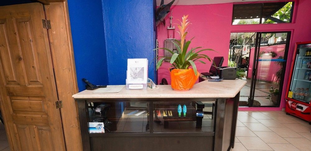 Siesta Suites Boutique Hotel Cabo San Lucas Bagian luar foto