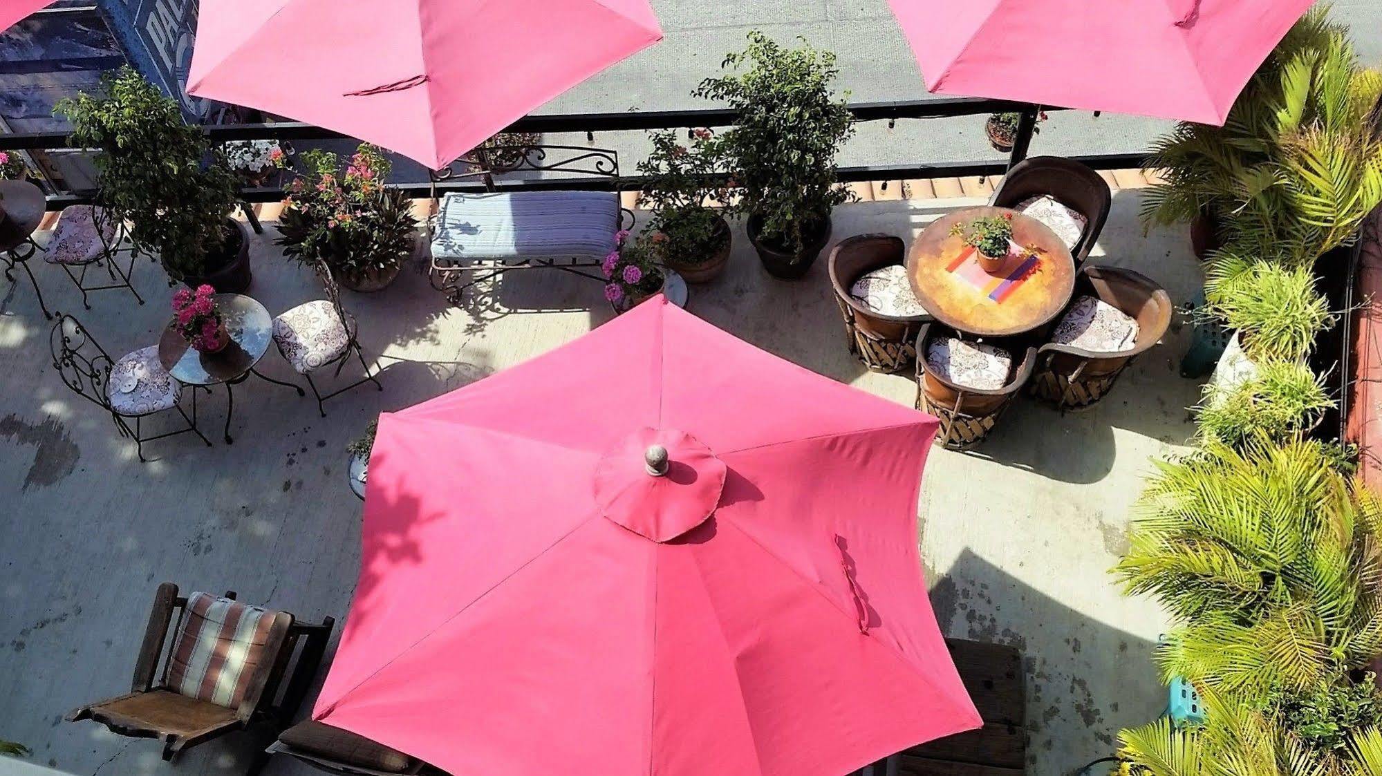 Siesta Suites Boutique Hotel Cabo San Lucas Bagian luar foto