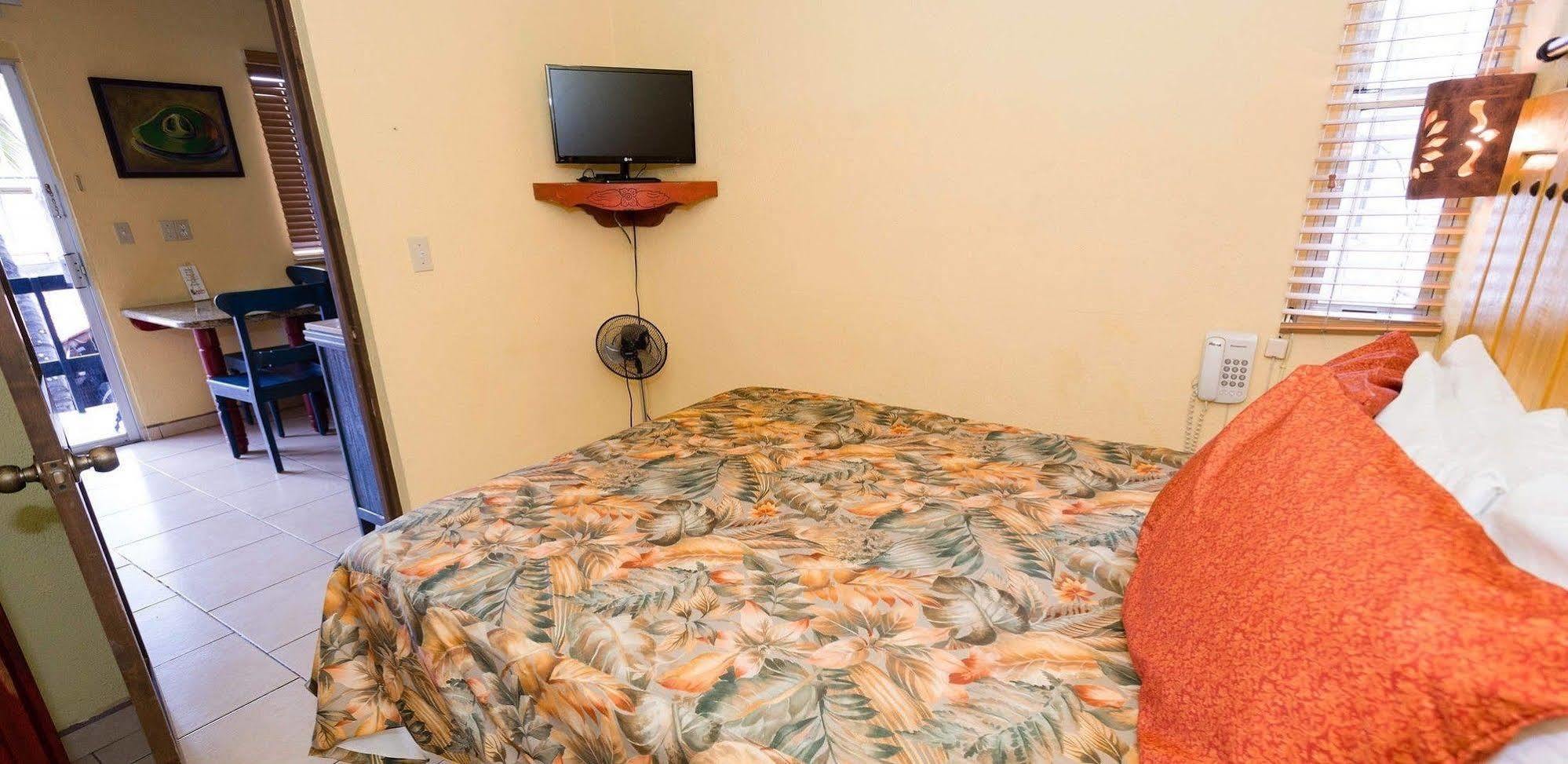 Siesta Suites Boutique Hotel Cabo San Lucas Bagian luar foto